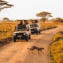 Tanzania eSIM